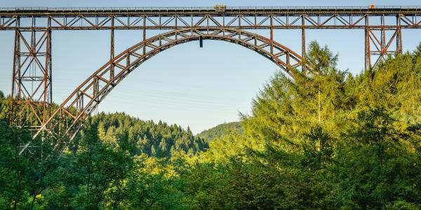 A bridge because it supports things, though not crossword puzzles most likely.